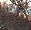 Muere voluntario, de aproximadamente 70 años, mientras colaboraba de forma voluntaria en el combate a un incendio forestal en la Sierra de Puruagua, Jerécuaro. Muere voluntario, de aproximadamente 70 años, mientras colaboraba de forma voluntaria en el combate a un incendio forestal en la Sierra de Puruagua, Jerécuaro.