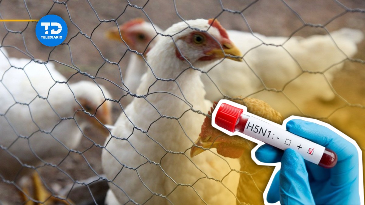 El Servicio Nacional de Sanidad activó un protocolo sanitario en la entidad | Especial El Servicio Nacional de Sanidad activó un protocolo sanitario en la entidad | Especial