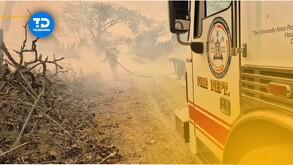 Jalisco es el segundo estado con más territorio dañado por el fuego. | Telediario Especial