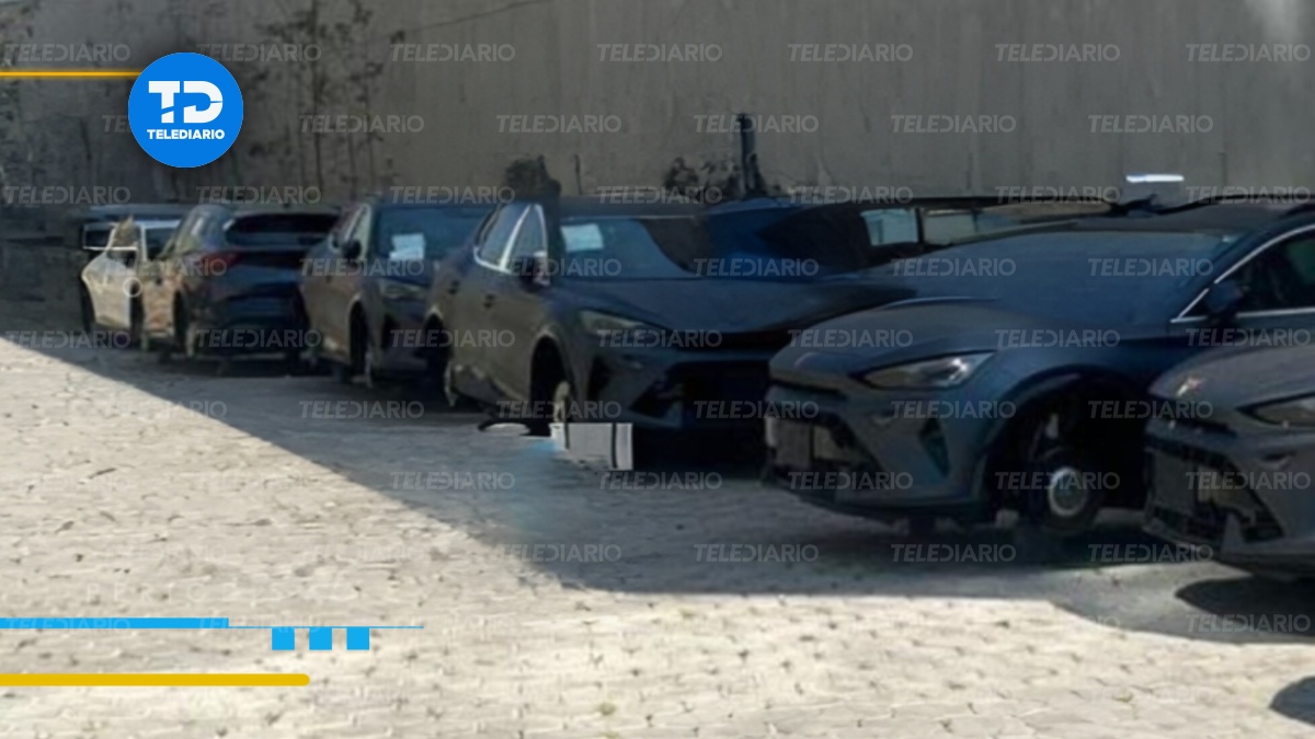 Los autos quedaron aparcados en la concesionaria Cupra de Angelópolis, ya sin sus respectivas llantas / Jesús Zavala