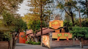 Oasis de la Cruz, es un negocio que cuenta con dos sucursales en la ciudad de Irapuato, se trata de un restaurante‑bar familiar.