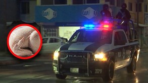 Para escapar, los responsables utilizaron un cuchillo con el que cortaron el mosquitero de una de las ventanas traseras en Saltillo.
