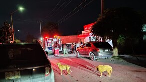 El lesionado más grave fue un hombre que presentaba heridas sangrantes en el cráneo a causa de los golpes con el madero