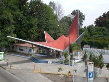 riña futbol Guadalajara