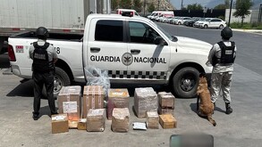 Los paquetes fueron puestos a disposición de la Fiscalía General de la República