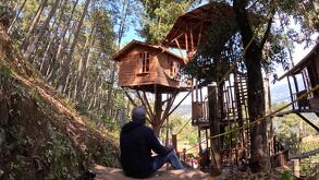 Descubre cuánto cuesta hospedarte en las cabañas más populares de Zacatlán, su ubicación, servicios y precios actualizados.
