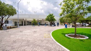 El municipio de León contará con el primer Hospital Veterinario público en el país, el cual responde a una necesidad de salud pública de las familias.