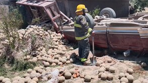 Todos los heridos fueron trasladados a bordo de una ambulancia a un hospital cercano para recibir atención médica.