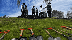 Se proyecta una plantación de más de 16 mil árboles para este año, así lo declaró Michael García Cardiel, director de Medio Ambiente de León.