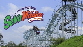 Selva Mágica precios 2025