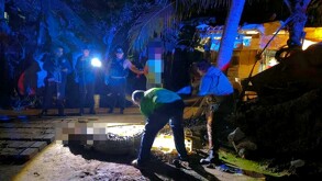Autoridades investigan la muerte de un cocodrilo en Puerto Vallarta; dos personas fueron detenidas y se teme un patrón de crueldad animal.