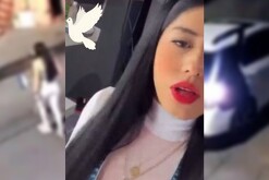 Carla Oblatos Perfil