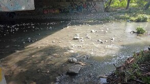 Río La Silla
