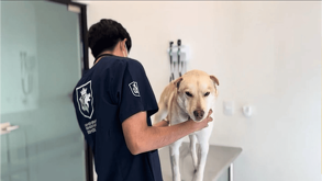 El primer Hospital Veterinario público en Guanajuato abrió sus puertas el pasado jueves luego de dos años de construcción. AQUÍ te decimos el costo de consulta.