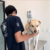 El primer Hospital Veterinario público en Guanajuato abrió sus puertas el pasado jueves luego de dos años de construcción. AQUÍ te decimos el costo de consulta. El primer Hospital Veterinario público en Guanajuato abrió sus puertas el pasado jueves luego de dos años de construcción. AQUÍ te decimos el costo de consulta.