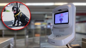 Luego de que se les negara el acceso en la estación Escuadrón 401, Ivanna, su perro y su entrenador se fueron a Coyuya, donde también les negaron la entrada.