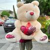 Un oso de peluche gigante fue rescatado de la basura en Tehuacán. La emotiva historia, vinculada a rupturas y conciencia ambiental, conquistó las redes. Un oso de peluche gigante fue rescatado de la basura en Tehuacán. La emotiva historia, vinculada a rupturas y conciencia ambiental, conquistó las redes.