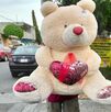 Un oso de peluche gigante fue rescatado de la basura en Tehuacán. La emotiva historia, vinculada a rupturas y conciencia ambiental, conquistó las redes. Un oso de peluche gigante fue rescatado de la basura en Tehuacán. La emotiva historia, vinculada a rupturas y conciencia ambiental, conquistó las redes.