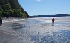 Alerta de tsunami en Alaska se activa luego de sismo