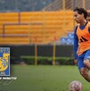 Los Tigres de la UANL tendrán un importante compromiso en casa previo al inicio del Apertura 2025 Los Tigres de la UANL tendrán un importante compromiso en casa previo al inicio del Apertura 2025