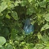 Una bebé recién nacida fue abandonada en mal estado de salud dentro de una bolsa en un baldío de Valle de Chalco, Edomex Una bebé recién nacida fue abandonada en mal estado de salud dentro de una bolsa en un baldío de Valle de Chalco, Edomex