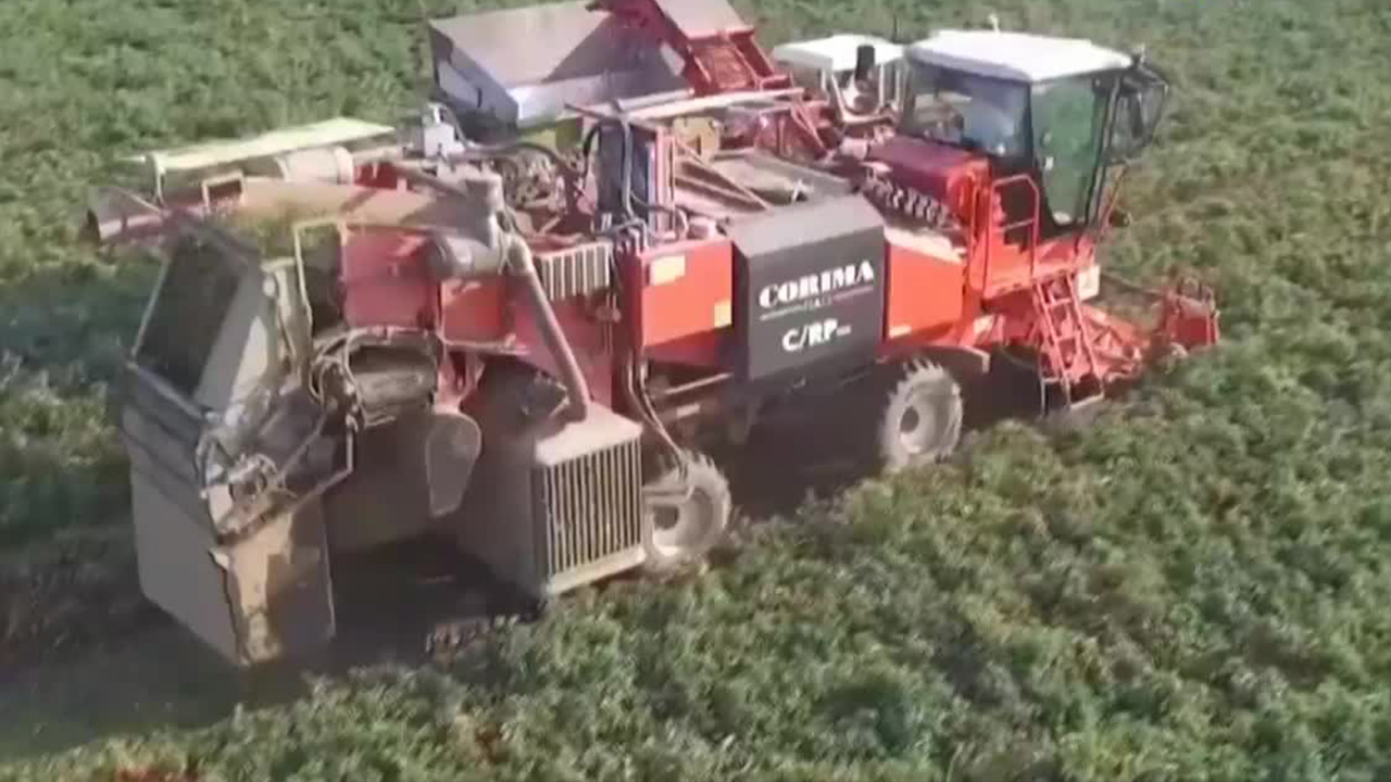 El secretario de Agricultura, Julio Berdegué, aseguró que México y los productores enfrentarán el arancel del 17.09% impuesto por Estados Unidos al tomate.