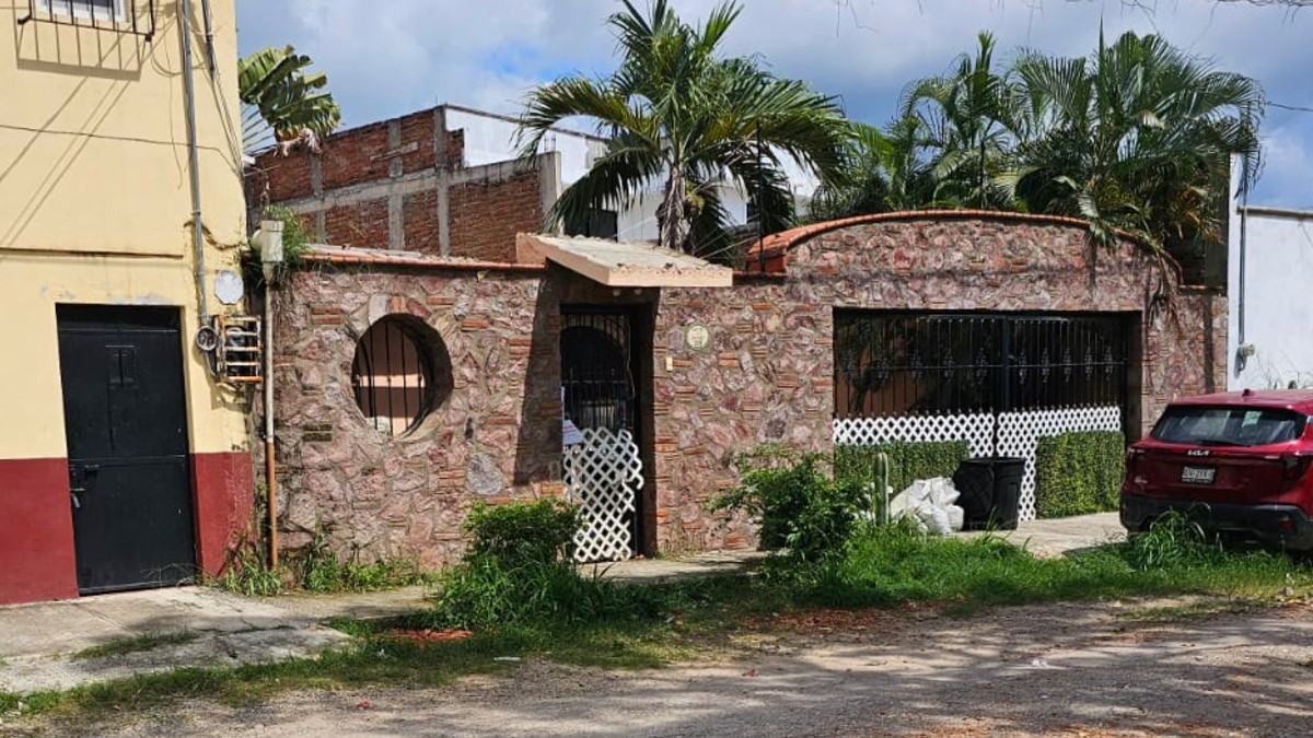 Puerto Vallarta: autoridades rescatan a leona de un domicilio Puerto Vallarta: autoridades rescatan a leona de un domicilio