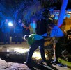 Autoridades investigan la muerte de un cocodrilo en Puerto Vallarta; dos personas fueron detenidas y se teme un patrón de crueldad animal. Autoridades investigan la muerte de un cocodrilo en Puerto Vallarta; dos personas fueron detenidas y se teme un patrón de crueldad animal.