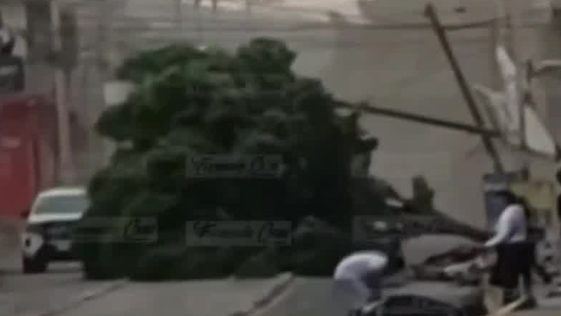 La fuerza del viento provocado por el tornado derribó algunos árboles en la zona.