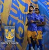 Los Tigres de la UANL están muy cerca de su debut en el Apertura 2025 y lo harán con uno de sus refuerzos de lujo