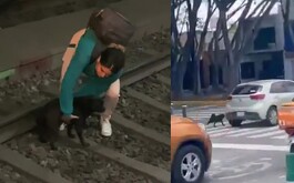 El perrito fue abandonado y rescatado de las vías del tren