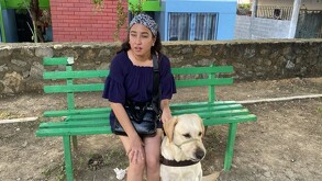Perro Odín