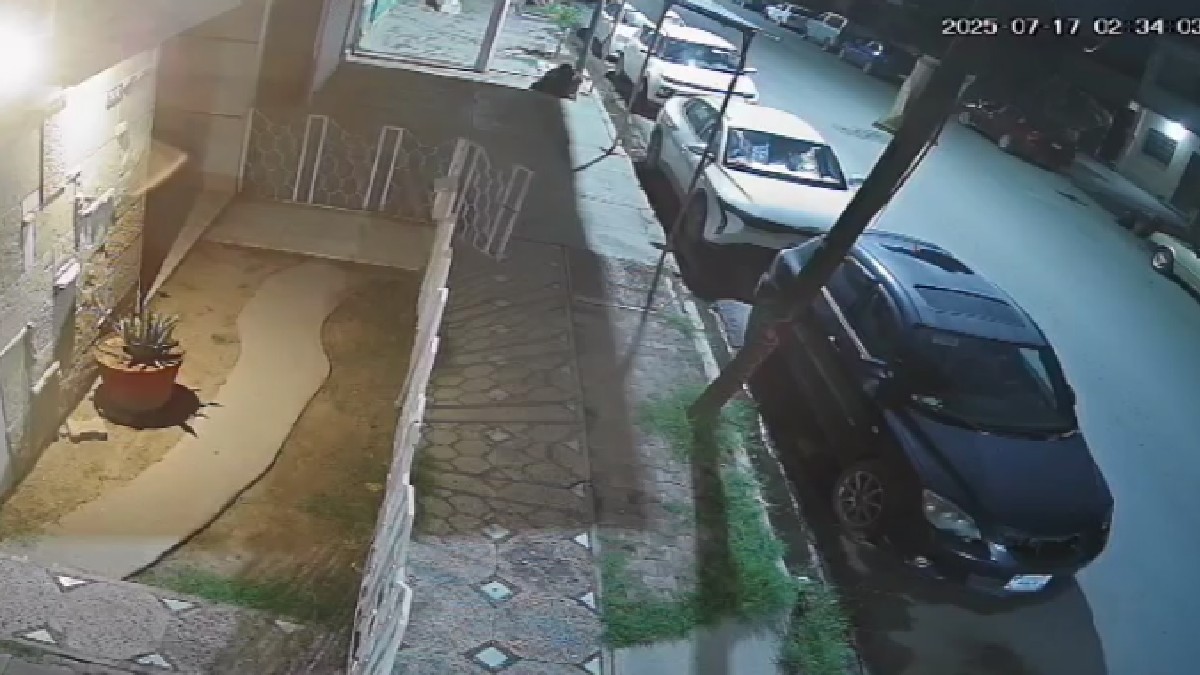 En el video se aprecia a un sujeto vestido con una playera azul y pantalón de mezclilla que merodea el exterior de la casa.