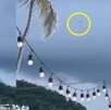 Turista quedó volando sin control en parachute en Puerto Vallarta; el incidente fue captado en video y generó debate acerca del trasfondo del incidente. Turista quedó volando sin control en parachute en Puerto Vallarta; el incidente fue captado en video y generó debate acerca del trasfondo del incidente.