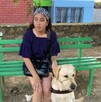 Perro Odín