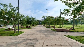 El Parque Luis Quintanar en Guadalajara reabrió tras ser rehabilitado; se reforestaron 100 árboles y participaron más de 200 voluntarios en actividades ambienta