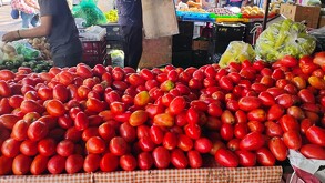 Comerciantes en Jalisco reportan alza en el precio del jitomate mientras expertos alertan sobre el impacto económico de nuevos aranceles en EU.
