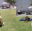 Durante la jornada, se fomentó la convivencia entre personas y mascotas, así como la adopción Durante la jornada, se fomentó la convivencia entre personas y mascotas, así como la adopción