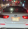 Perrita Dallas atropellada en San Nicolás.
