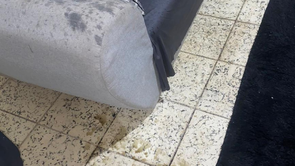Una mujer y sus hijas temen por su seguridad debido a que son víctimas de un presunto vecino acosador en Torreón, aseguran temer por su seguridad.