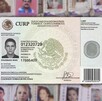 La CNDH reconoció que la CURP biométrica ayudará a familiares, colectivos y autoridades para la búsqueda de personas desaparecidas. La CNDH reconoció que la CURP biométrica ayudará a familiares, colectivos y autoridades para la búsqueda de personas desaparecidas.