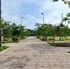 El Parque Luis Quintanar en Guadalajara reabrió tras ser rehabilitado; se reforestaron 100 árboles y participaron más de 200 voluntarios en actividades ambienta El Parque Luis Quintanar en Guadalajara reabrió tras ser rehabilitado; se reforestaron 100 árboles y participaron más de 200 voluntarios en actividades ambienta