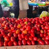 Comerciantes en Jalisco reportan alza en el precio del jitomate mientras expertos alertan sobre el impacto económico de nuevos aranceles en EU. Comerciantes en Jalisco reportan alza en el precio del jitomate mientras expertos alertan sobre el impacto económico de nuevos aranceles en EU.