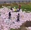 Un tráiler cargado de papayas volcó en la México-Puebla y ciudadanos robaron la mercancía, dejando al conductor herido. El video del saqueo indigna en redes. Un tráiler cargado de papayas volcó en la México-Puebla y ciudadanos robaron la mercancía, dejando al conductor herido. El video del saqueo indigna en redes.