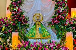 Virgen de Zapopan Julio