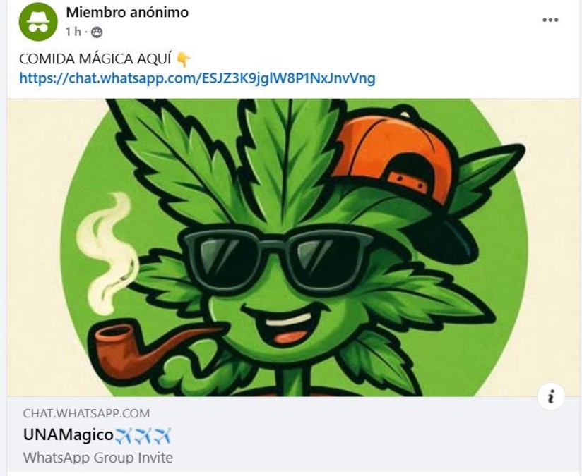 Una profesora del CCH Sur compartió que, en algunas clases, los docentes deben lidiar con jóvenes cuya intoxicación es evidente. Una profesora del CCH Sur compartió que, en algunas clases, los docentes deben lidiar con jóvenes cuya intoxicación es evidente.