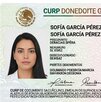 La CURP biométrica incluirá datos como fotografía del titular, huellas dactilares y el escaneo de iris. La CURP biométrica incluirá datos como fotografía del titular, huellas dactilares y el escaneo de iris.
