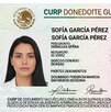 La CURP biométrica incluirá datos como fotografía del titular, huellas dactilares y el escaneo de iris. La CURP biométrica incluirá datos como fotografía del titular, huellas dactilares y el escaneo de iris.