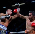 Manny Pacquiao sigue demostrando que es uno de los boxeadores más rentables debido a la cantidad de gente que gusta de verlo en acción.