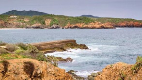Playas de Michoacán contaminadas 2025 | cuáles-son